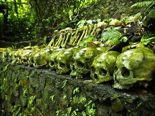 Viele grüne, moosbedeckte menschliche Schädel, die auf einer Steinmauer aufgereiht sind.