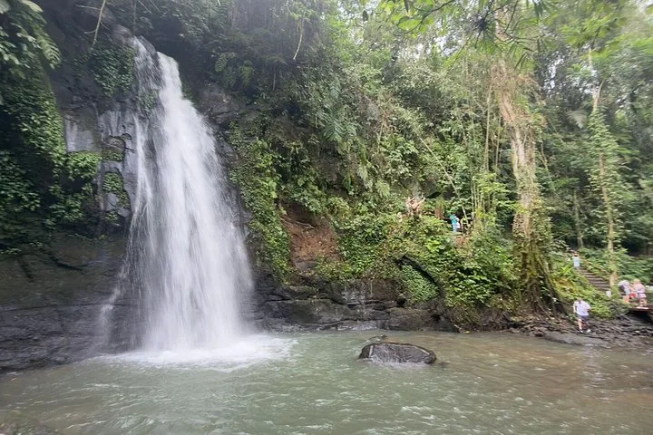 A waterfall cascading into a pool surrounded by lush green vegetation.
